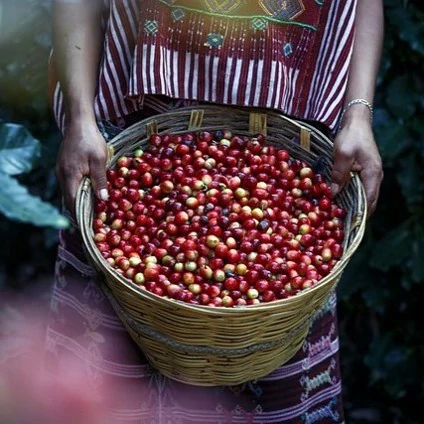 coffee-origin-history